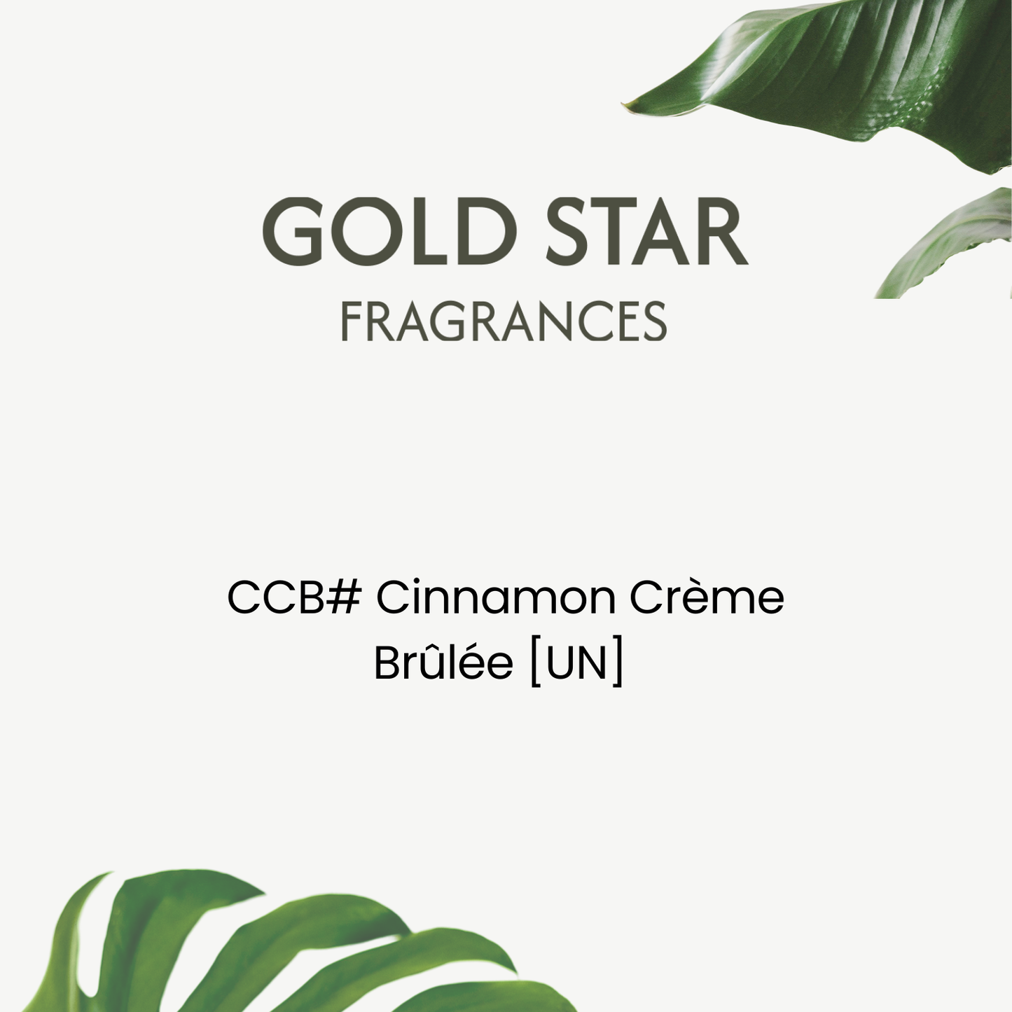 Gold Star Fragrances black logo