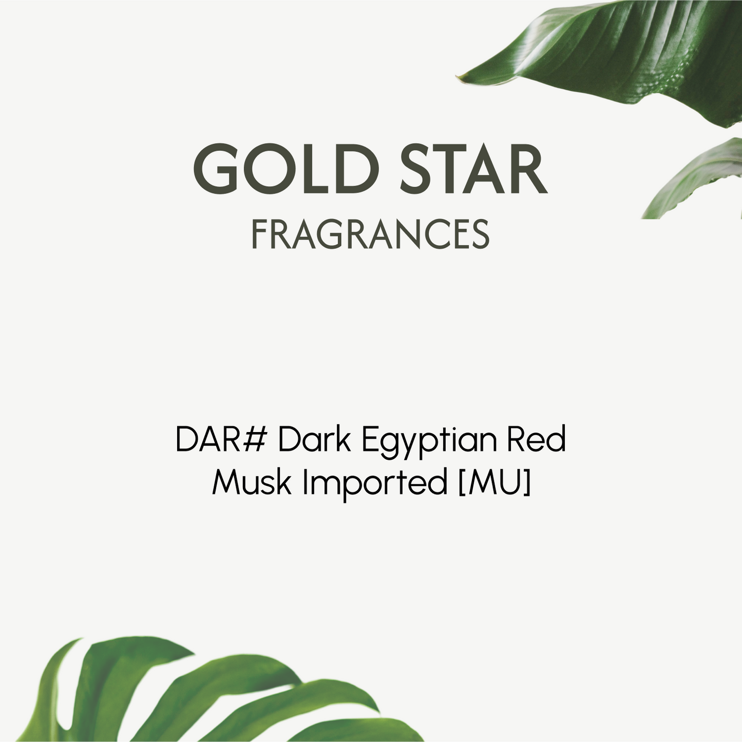 DAR# Dark Egyptian Red Musk Imported [MU]
