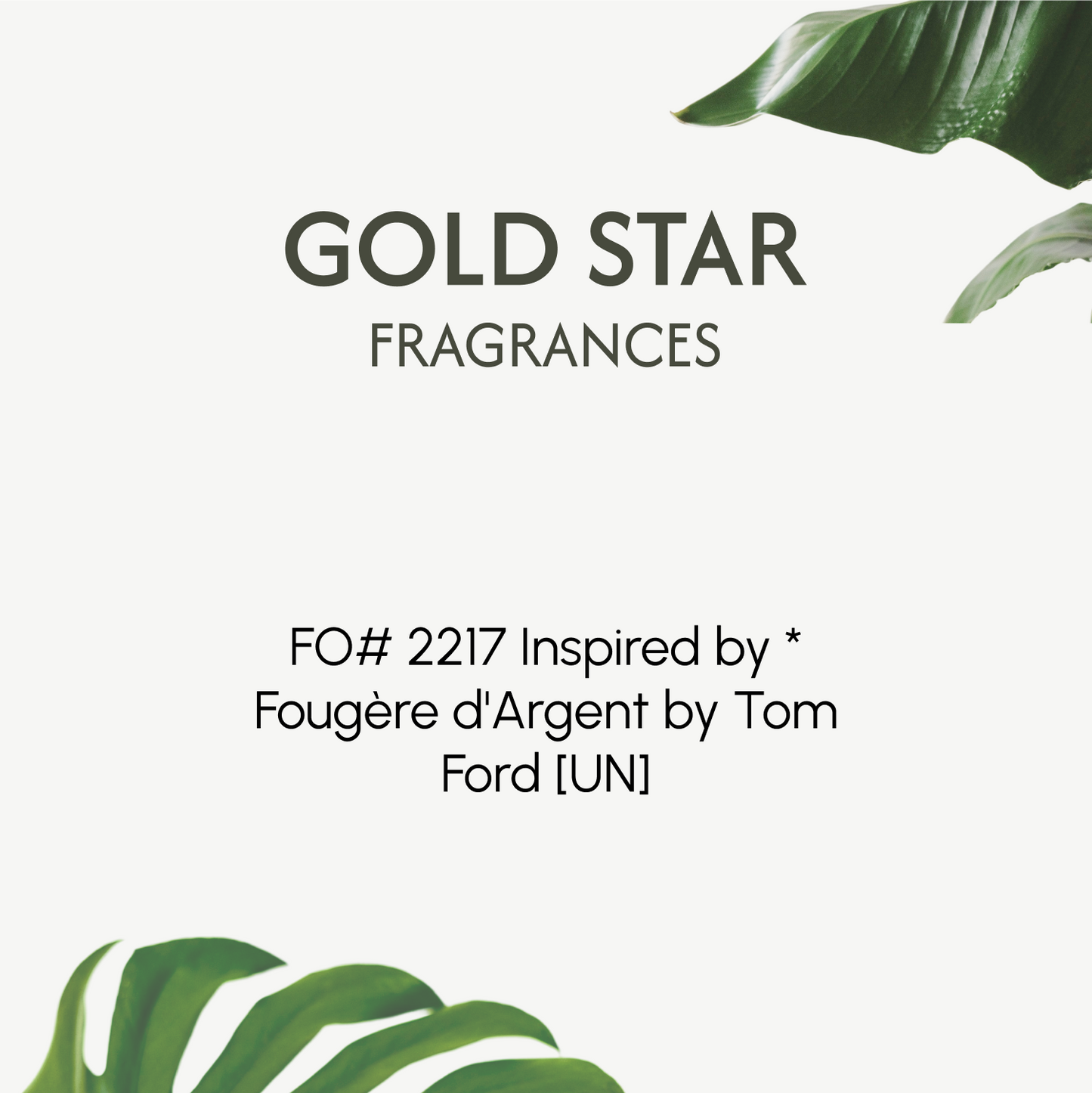 FO# 2217 Inspired by * Fougère d'Argent by Tom Ford [UN]