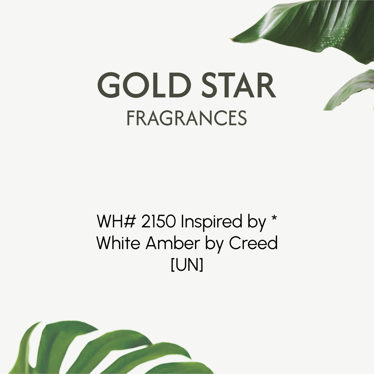 WH# 2150 Inspired by * White Amber by Creed [UN]