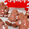 Oh Snap! Gingerbread Man Bath Bomb